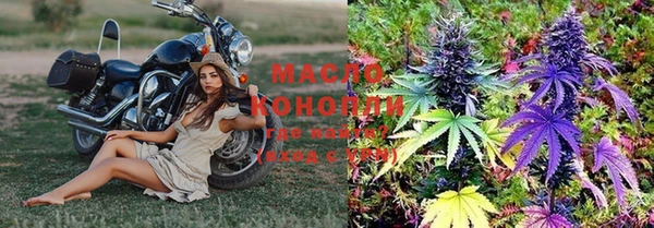 СК Михайлов