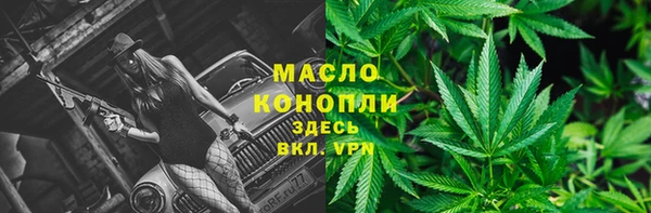 СК Михайлов