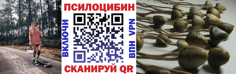 Купить где  Первомайск  Псилоцибиновые грибы Psilocybine cubensis 